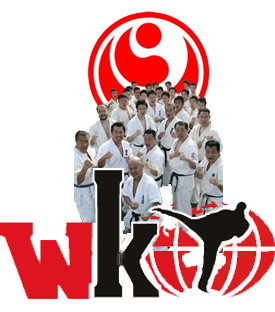 Kokoro & Kanji  World Karate Organization ShinKyokushinKai